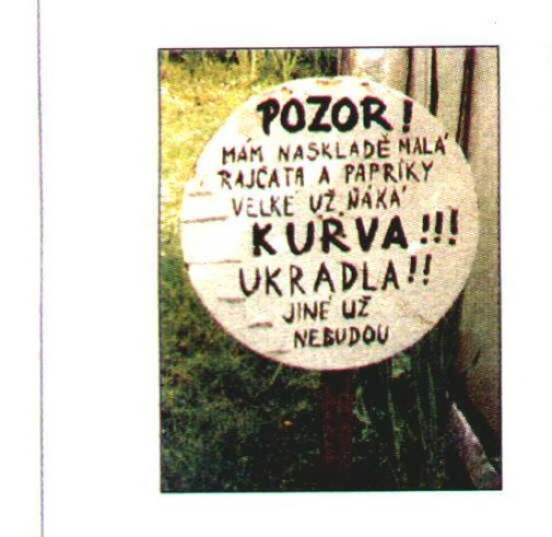 Zelovoc za socializmu